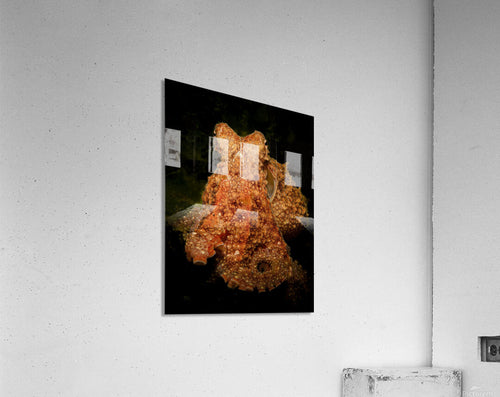 2727555 :: Acrylic Print
