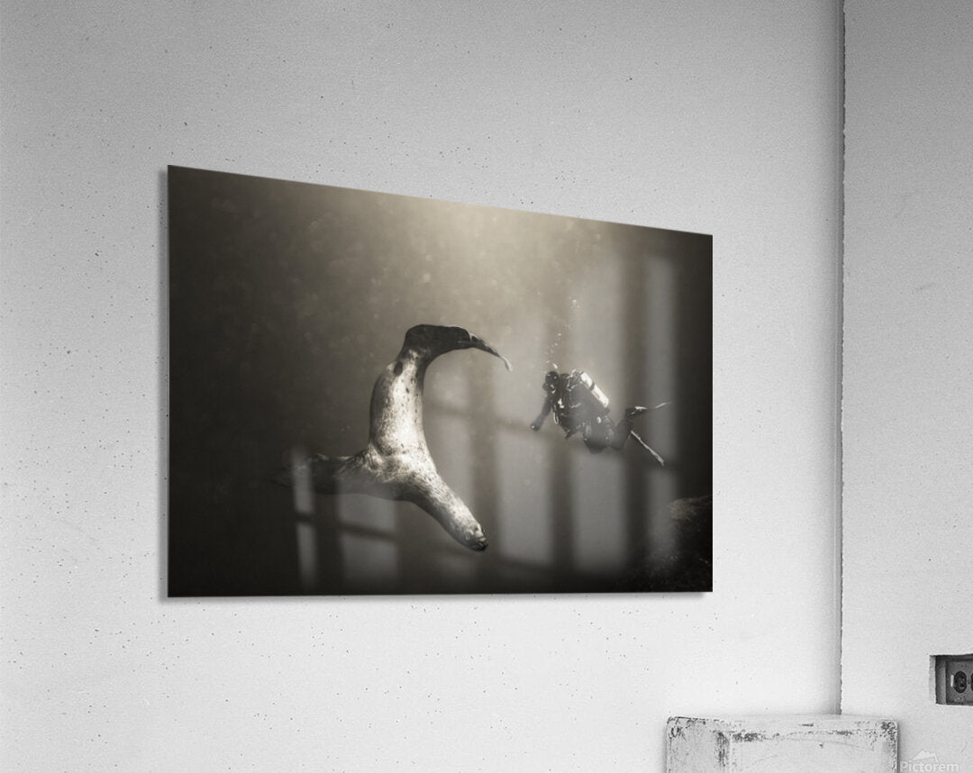 2630124 :: Acrylic Print