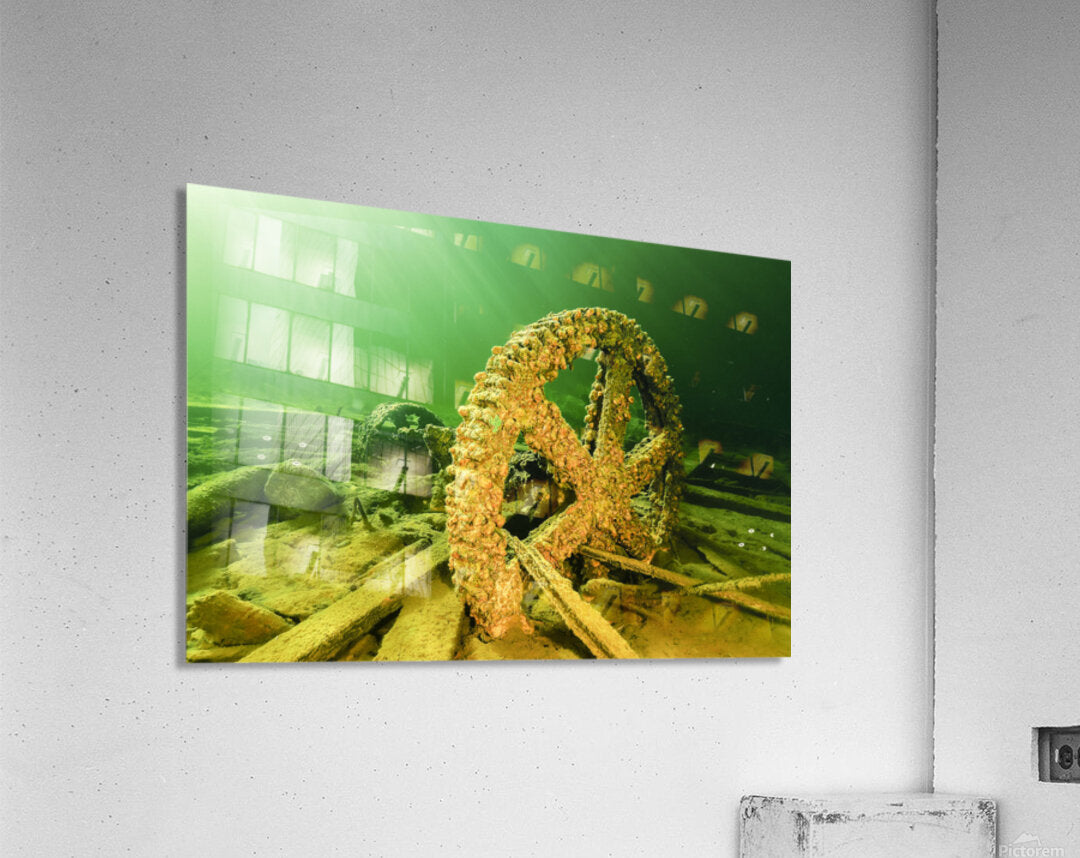2630130 :: Acrylic Print
