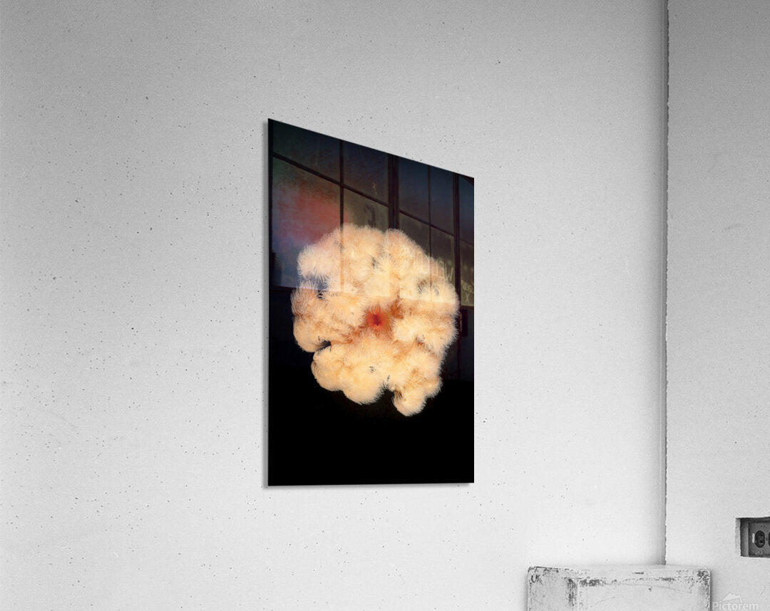 2630133 :: Acrylic Print