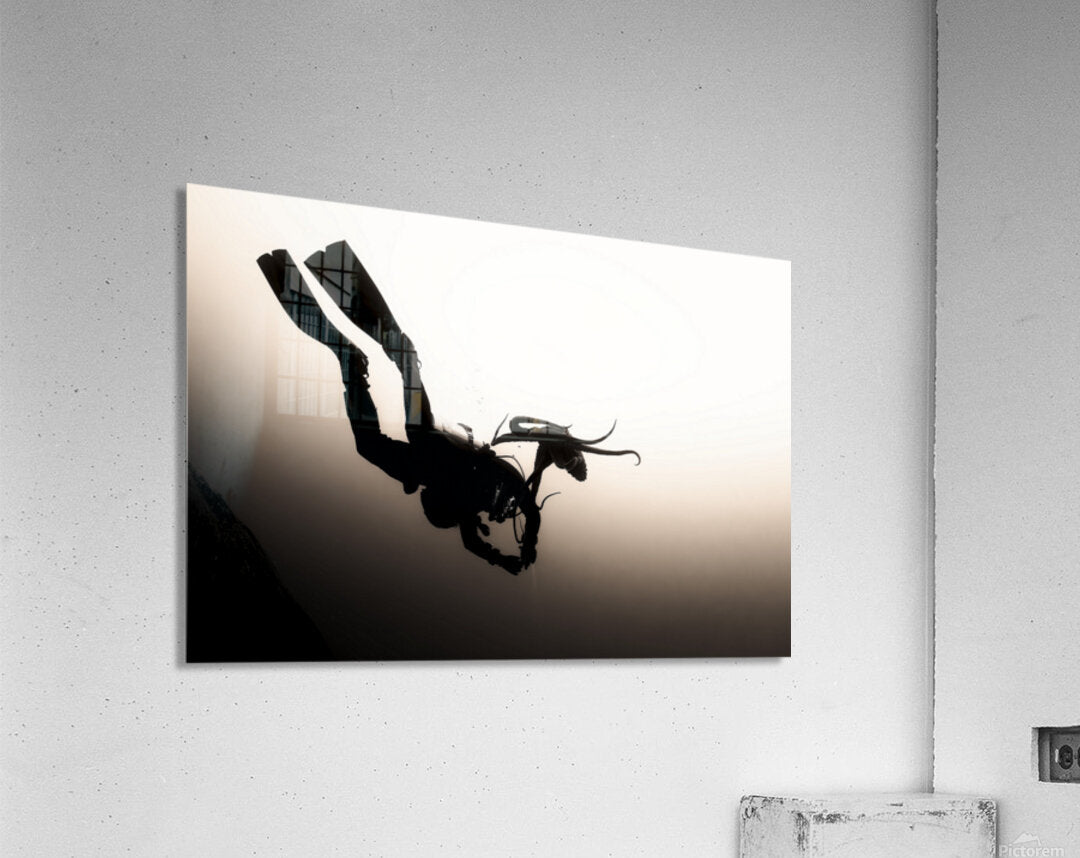2630134 :: Acrylic Print