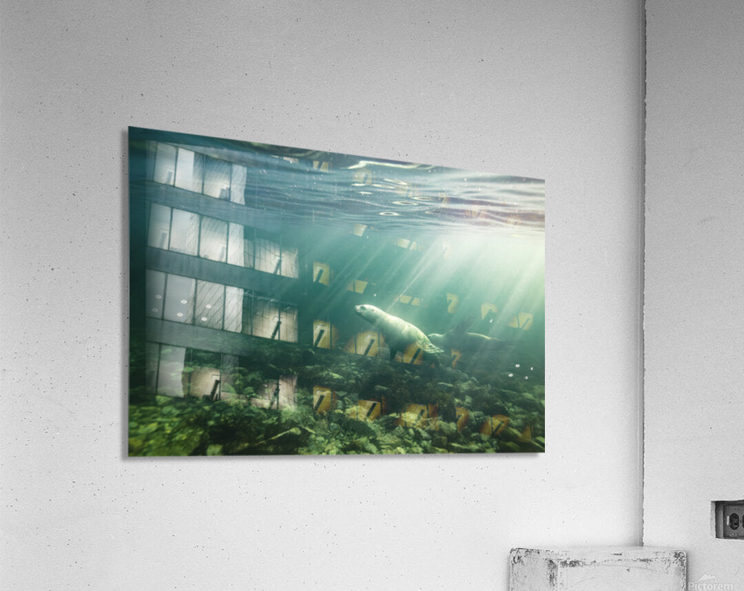 2640466 :: Acrylic Print