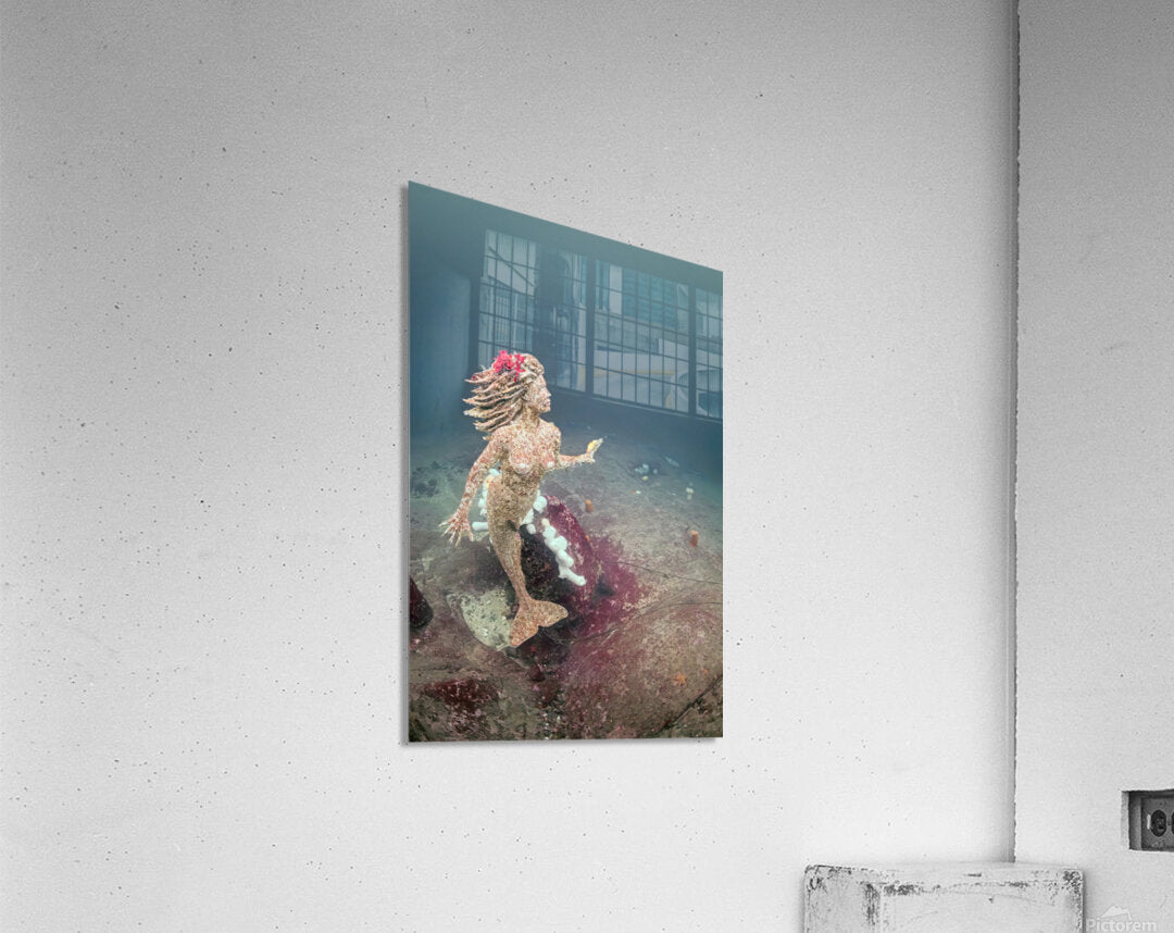 2659849 :: Acrylic Print