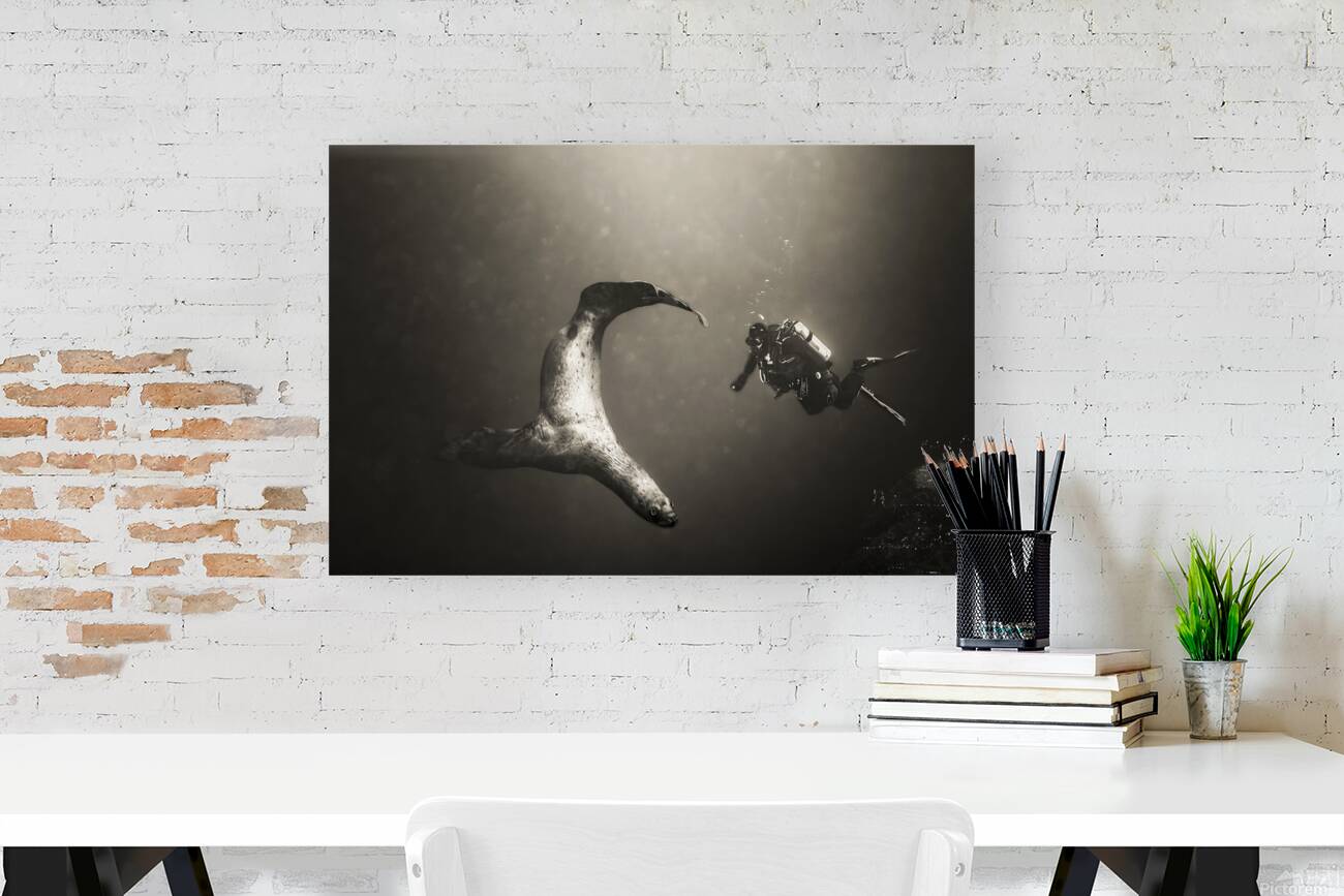 2630124 :: Giclée Stretched Canvas Print