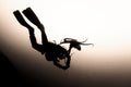 Scuba Diver And Octopus Silhouette
