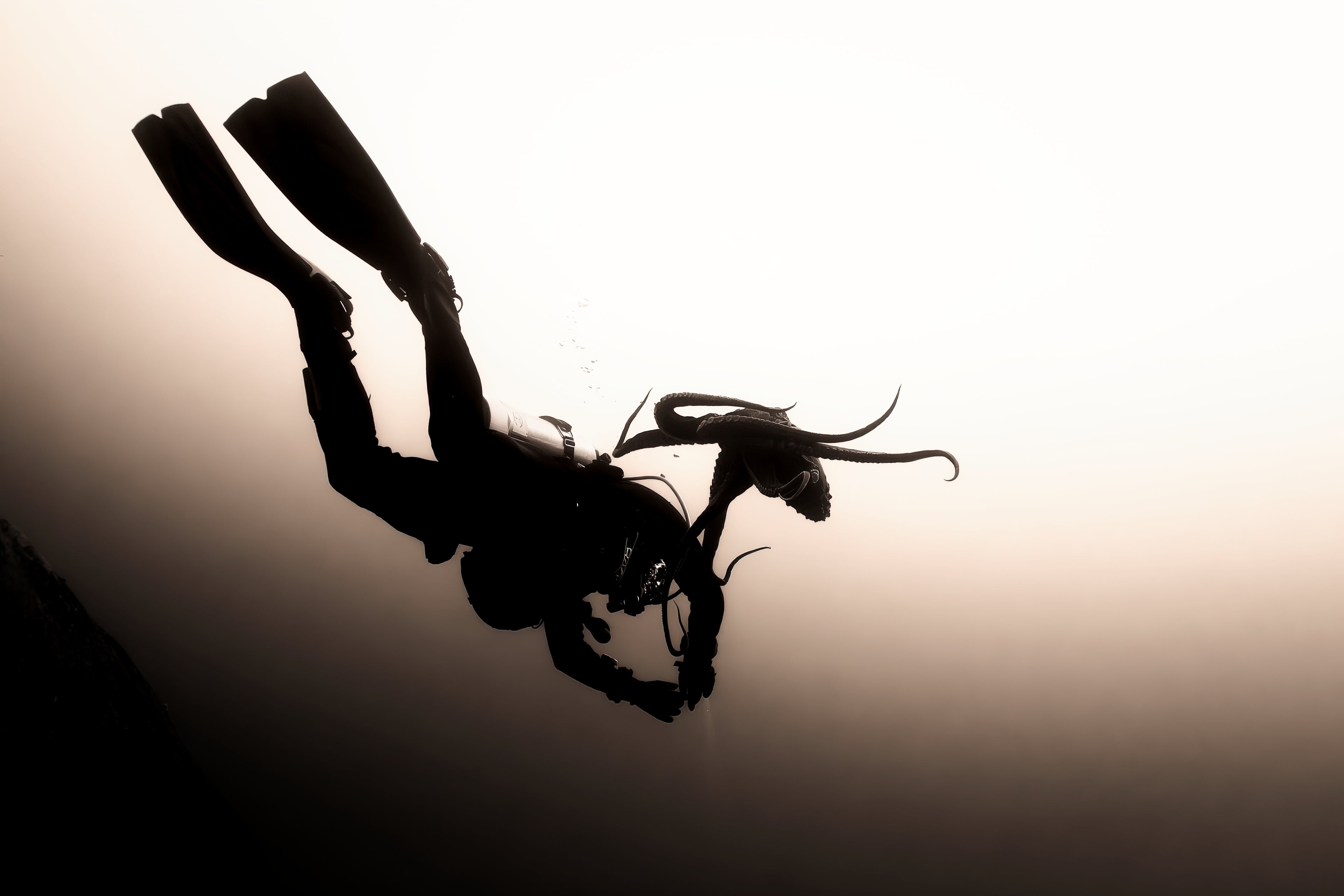 Scuba Diver And Octopus Silhouette